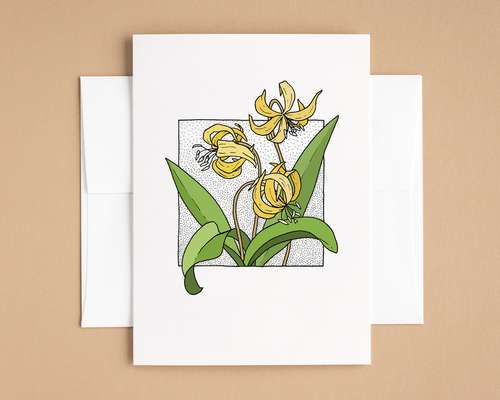 Link to 'Avalanche Lily'
